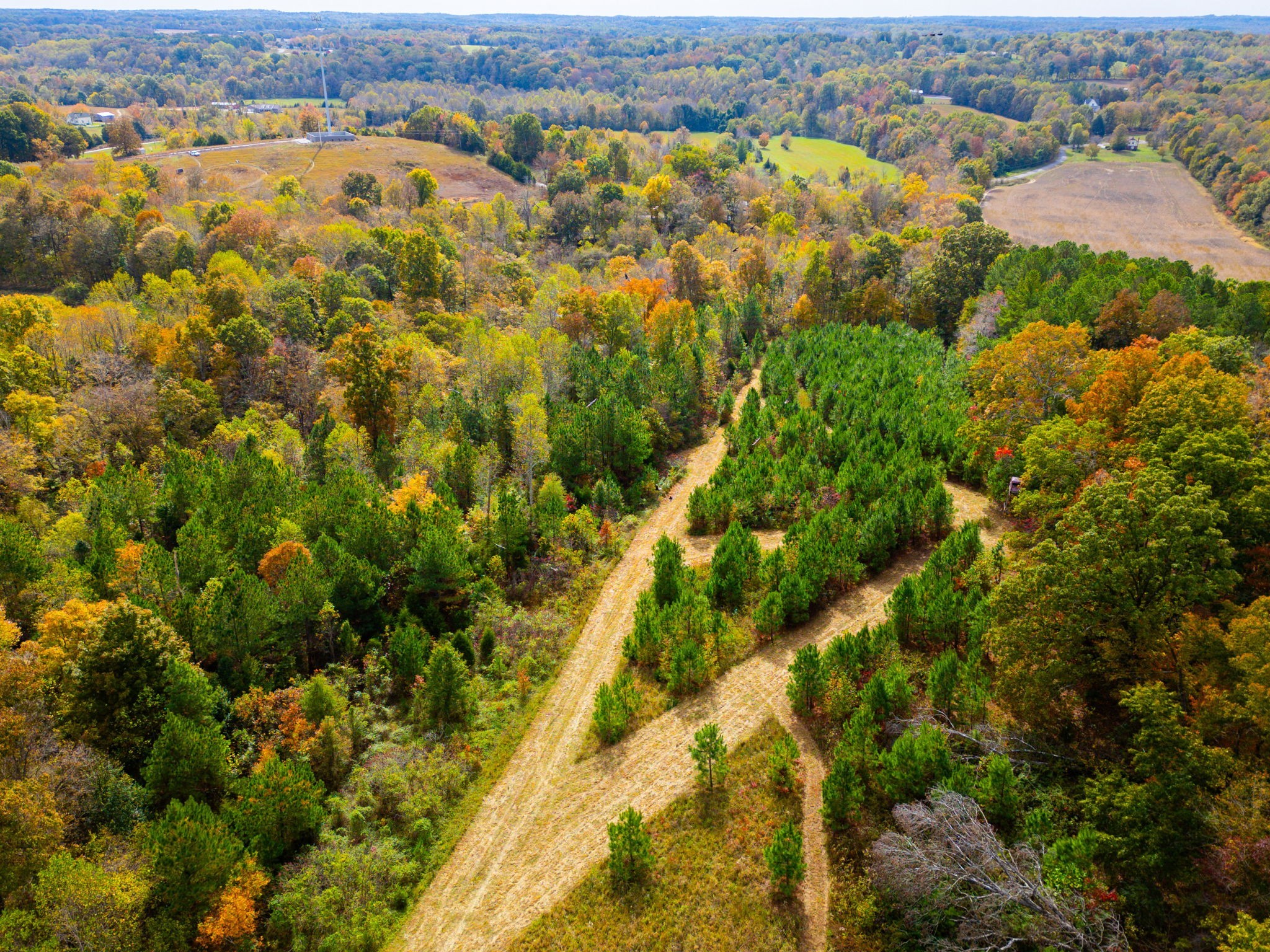 0 Meadows Road Portland, TN 37148 - Photo 9 of 30 an aerial view of residential houses with outdoor space and trees