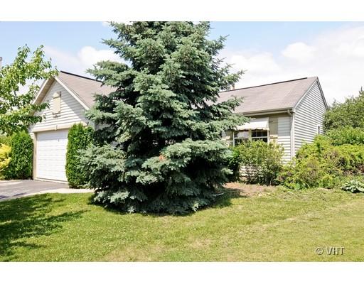 293 Shagbark Court Round Lake, IL 60073 - Photo 1 of 10 a view of a house with a garden