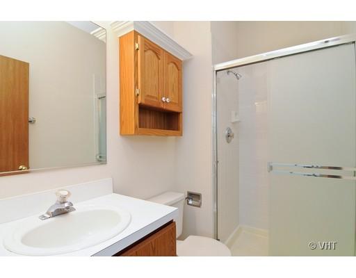 293 Shagbark Court Round Lake, IL 60073 - Photo 7 of 10 a bathroom with a sink and a mirror