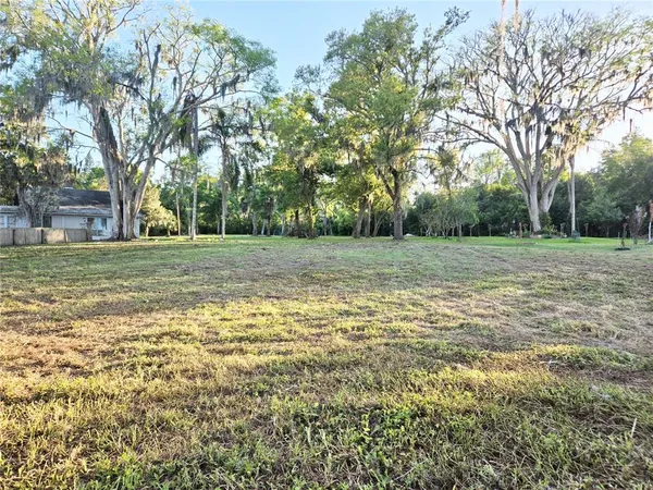 a view of yard with trees