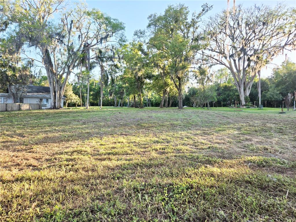 Debuel Road Lutz, FL 33549 - Photo 15 of 20 a view of a field with trees in the background