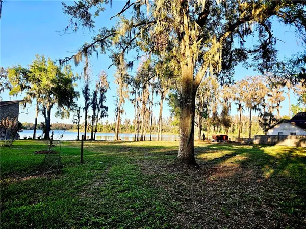 a view of a grassy field with trees