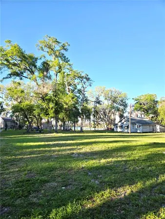 a view of a yard