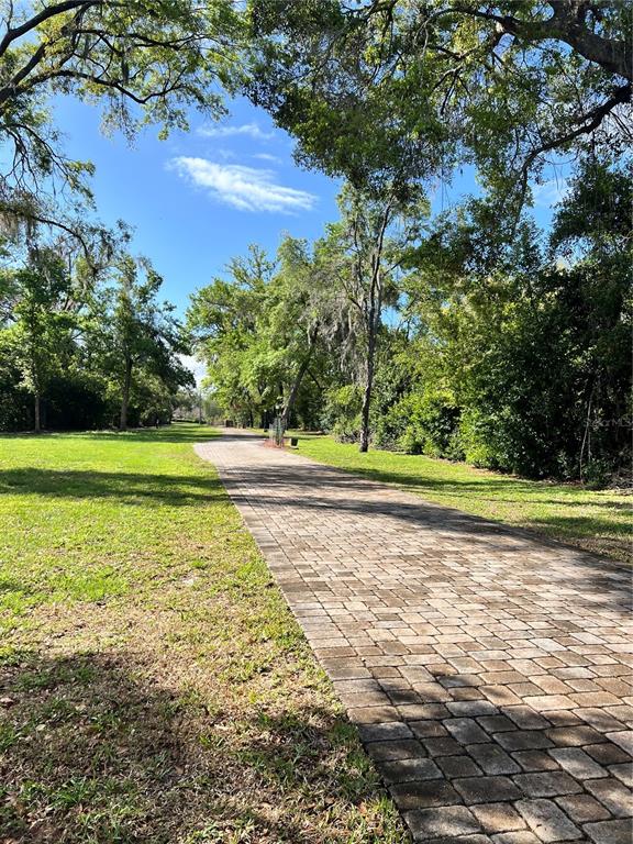 Debuel Road Lutz, FL 33549 - Photo 19 of 20 a view of a green yard with large trees