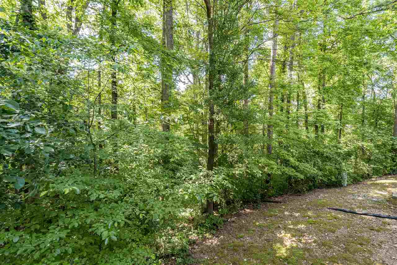 1921 Gorman Street Raleigh, NC 27606 - Photo 23 of 30 Backyard