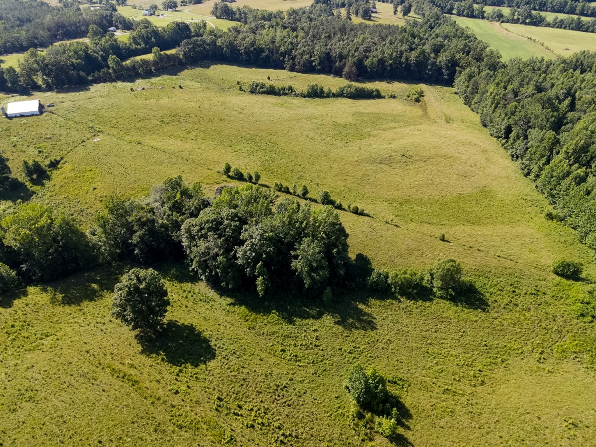 1074 McGee Road Scotts Hill, TN 38374 - Photo 14 of 37 Gallery Image 14