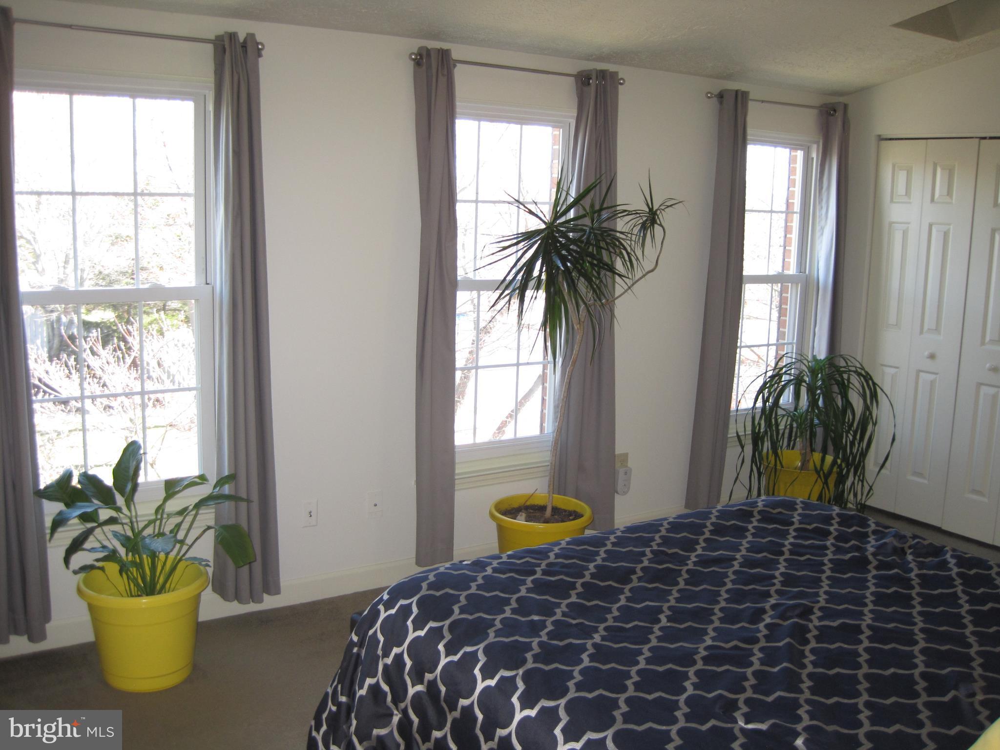 6178 Morning Glory Road Alexandria, VA 22310 - Photo 12 of 26 a bedroom with a bed and a potted plant