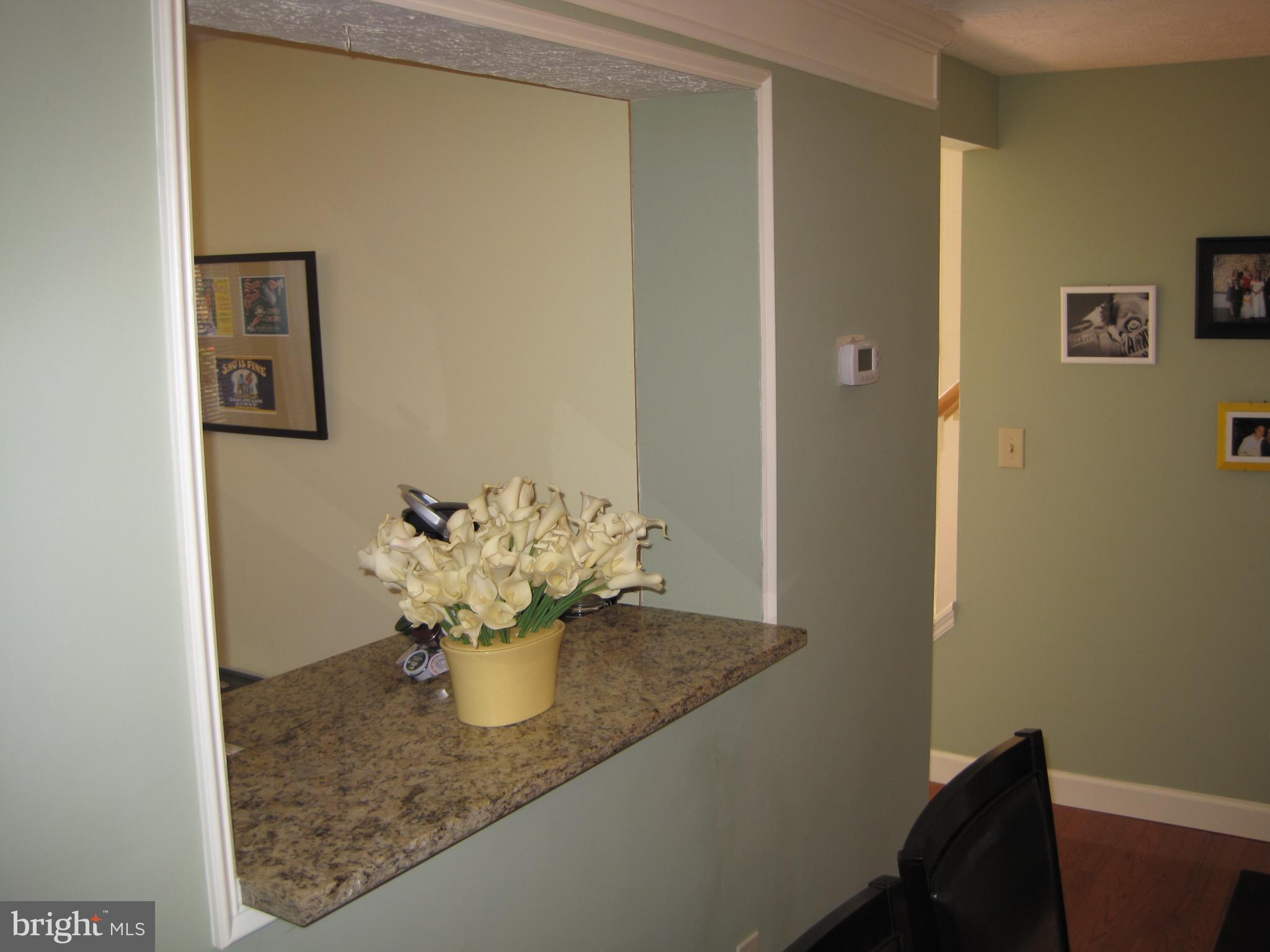 6178 Morning Glory Road Alexandria, VA 22310 - Photo 9 of 26 a close view of kitchen cabinets