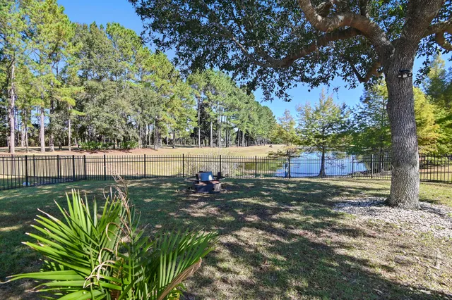 a view of a backyard with tree