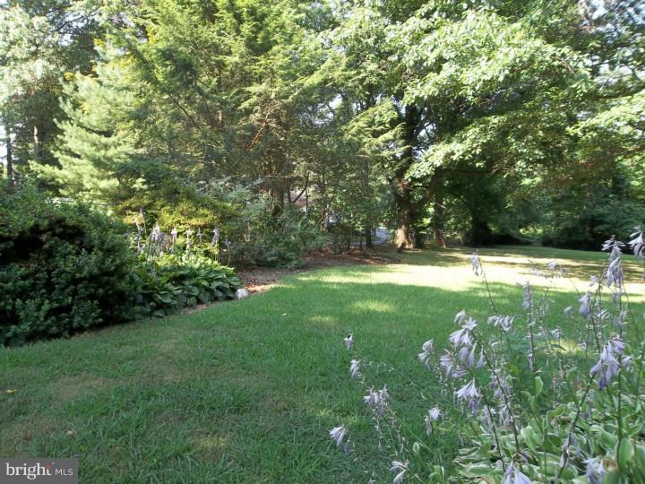 517 South Providence Road Wallingford, PA 19086 - Photo 20 of 25
