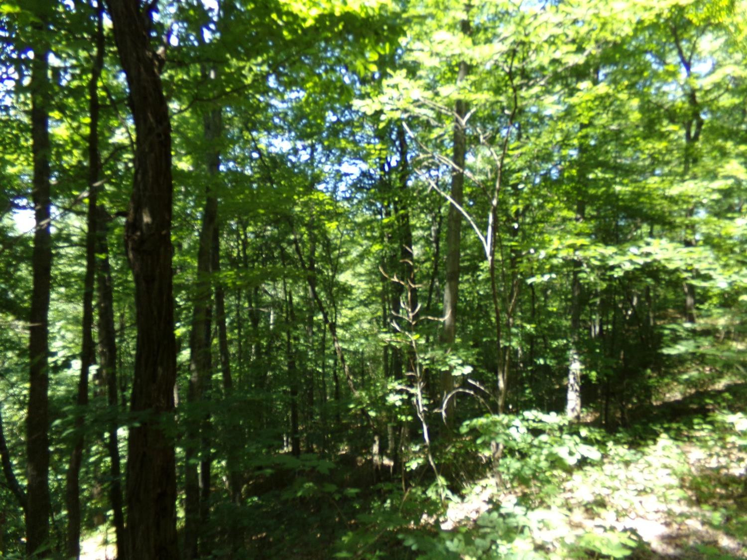 3333 Pinetable Road Means, KY 40346 - Photo 20 of 38 Photo 20