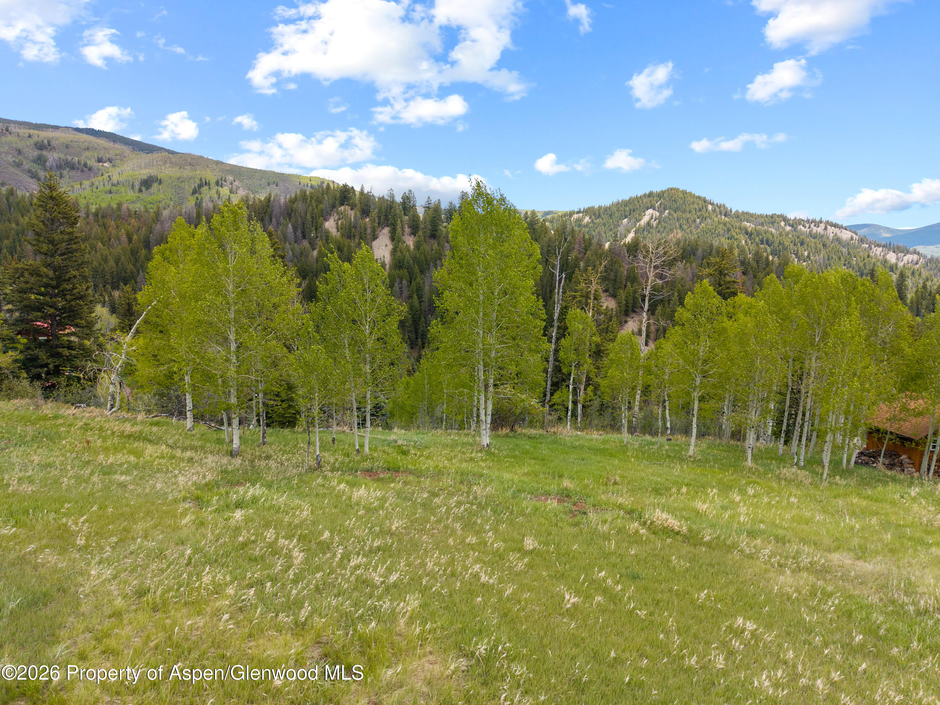 1239 McLaughlin Lane Basalt, CO 81621 - Photo 8 of 21 09-1239McLaughlin_26052109