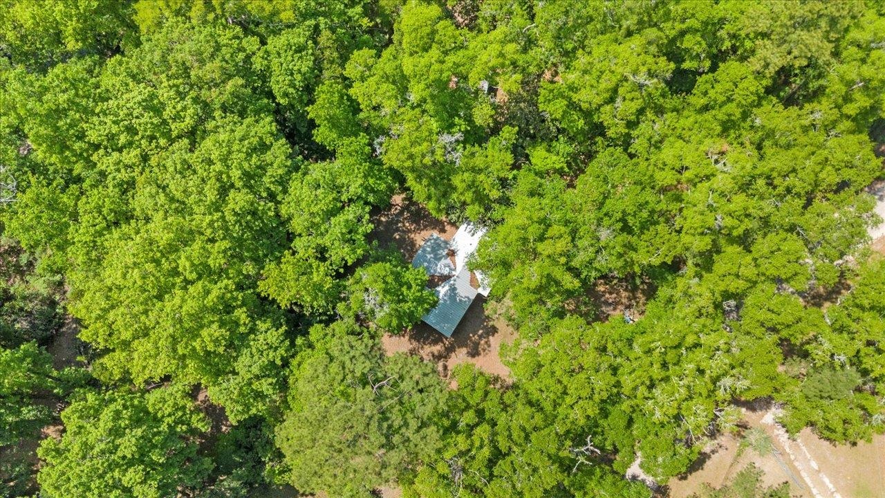 70 Fonigan Road Sopchoppy, FL 32358 - Photo 2 of 32
