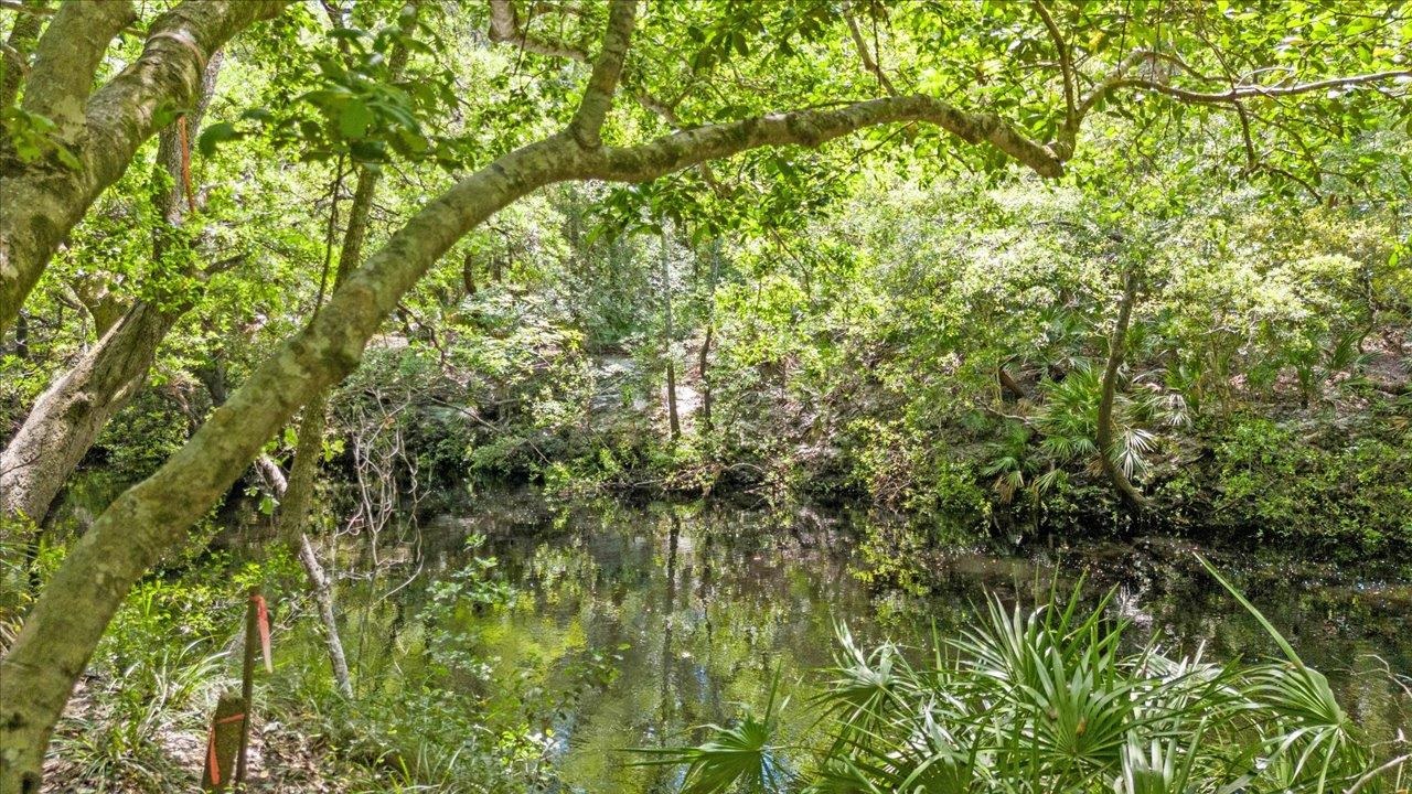 70 Fonigan Road Sopchoppy, FL 32358 - Photo 28 of 32