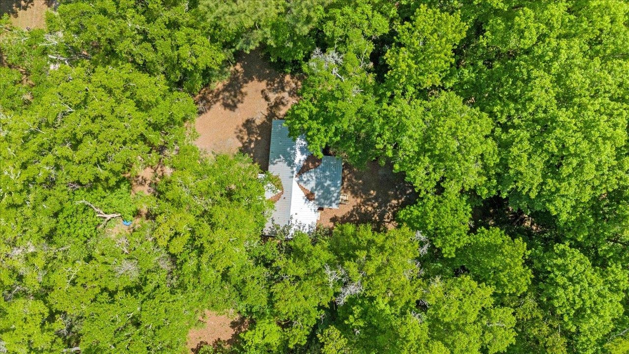 70 Fonigan Road Sopchoppy, FL 32358 - Photo 3 of 32