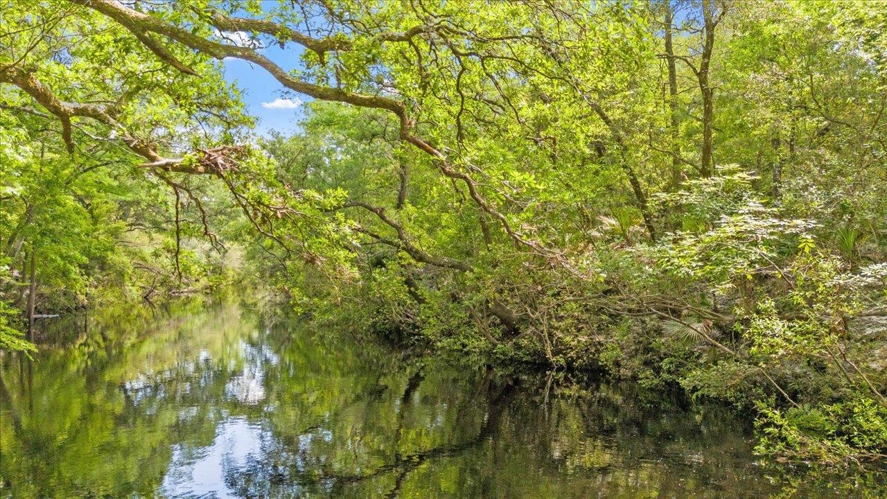 70 Fonigan Road Sopchoppy, FL 32358 - Photo 31 of 32