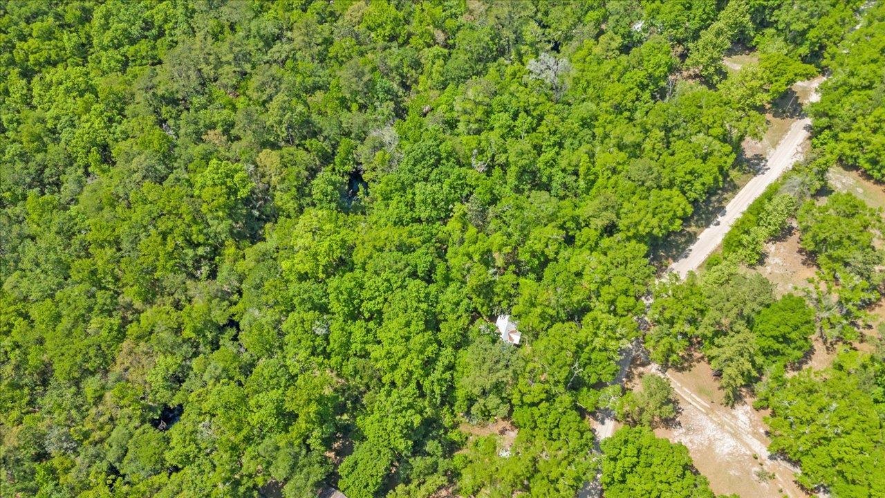 70 Fonigan Road Sopchoppy, FL 32358 - Photo 4 of 32