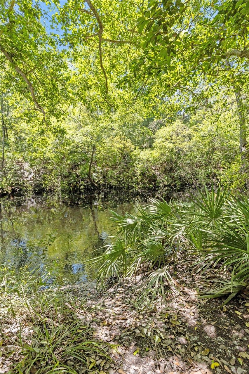70 Fonigan Road Sopchoppy, FL 32358 - Photo 5 of 32