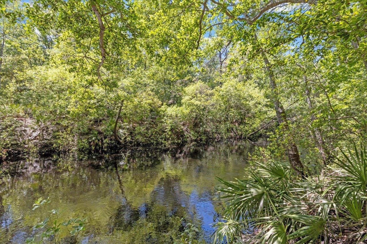 70 Fonigan Road Sopchoppy, FL 32358 - Photo 6 of 32