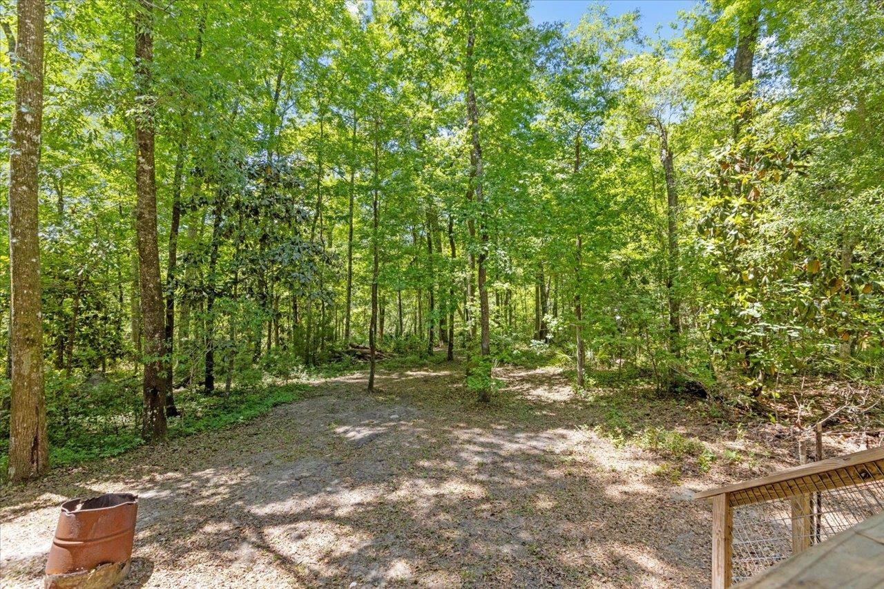 70 Fonigan Road Sopchoppy, FL 32358 - Photo 8 of 32