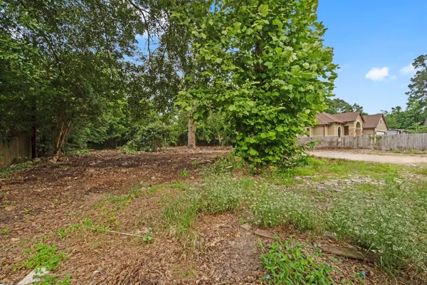 a view of a yard with a tree