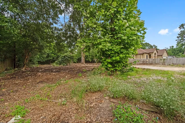 a view of a yard with a tree