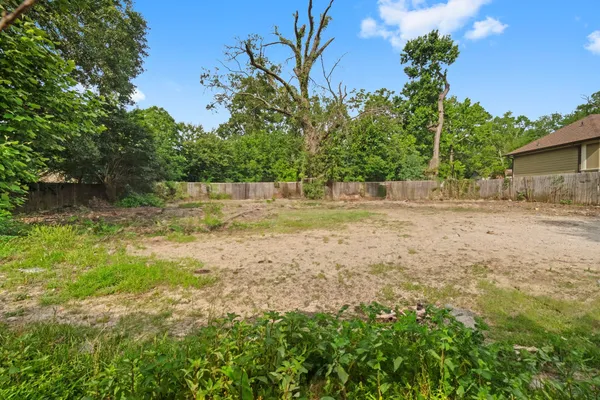a view of a yard with plants and trees
