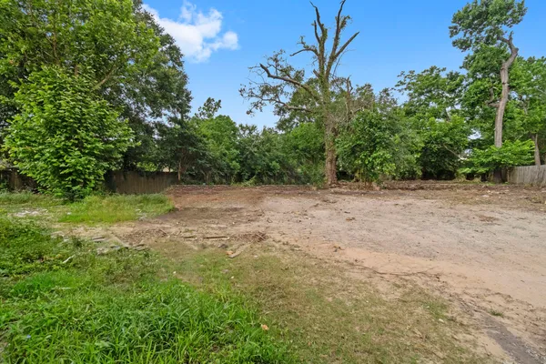 a view of backyard with green space
