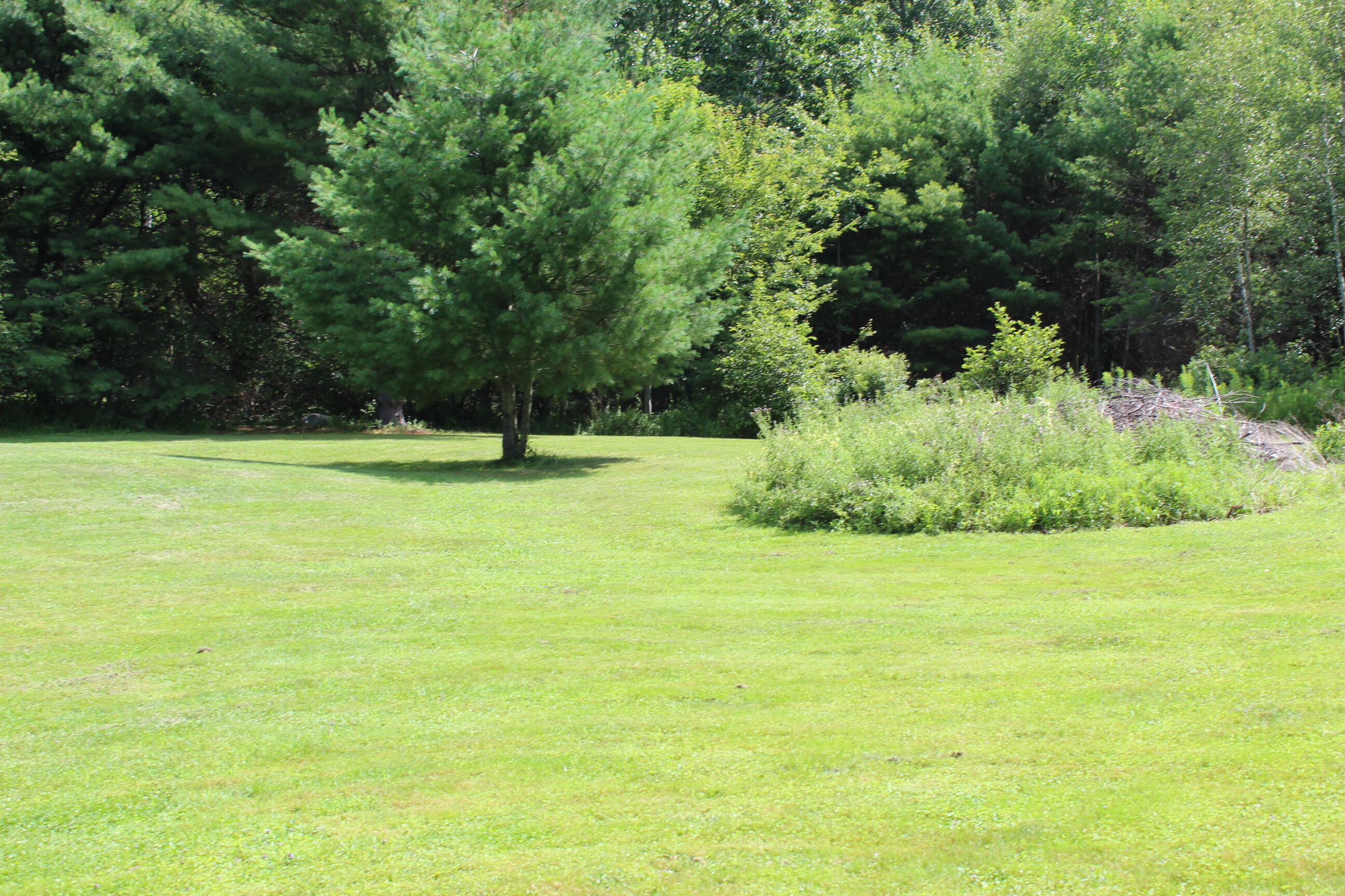 596 Castine Road Orland, ME 04472 - Photo 45 of 49 IMG_9289
