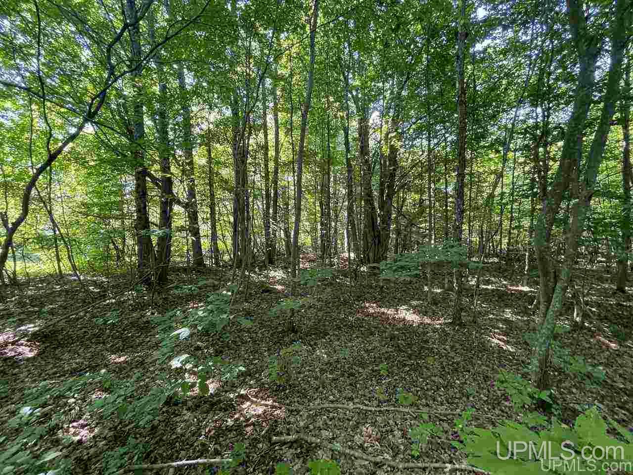 220 W Ford Lake Road Germfask, MI 49836 - Photo 6 of 26