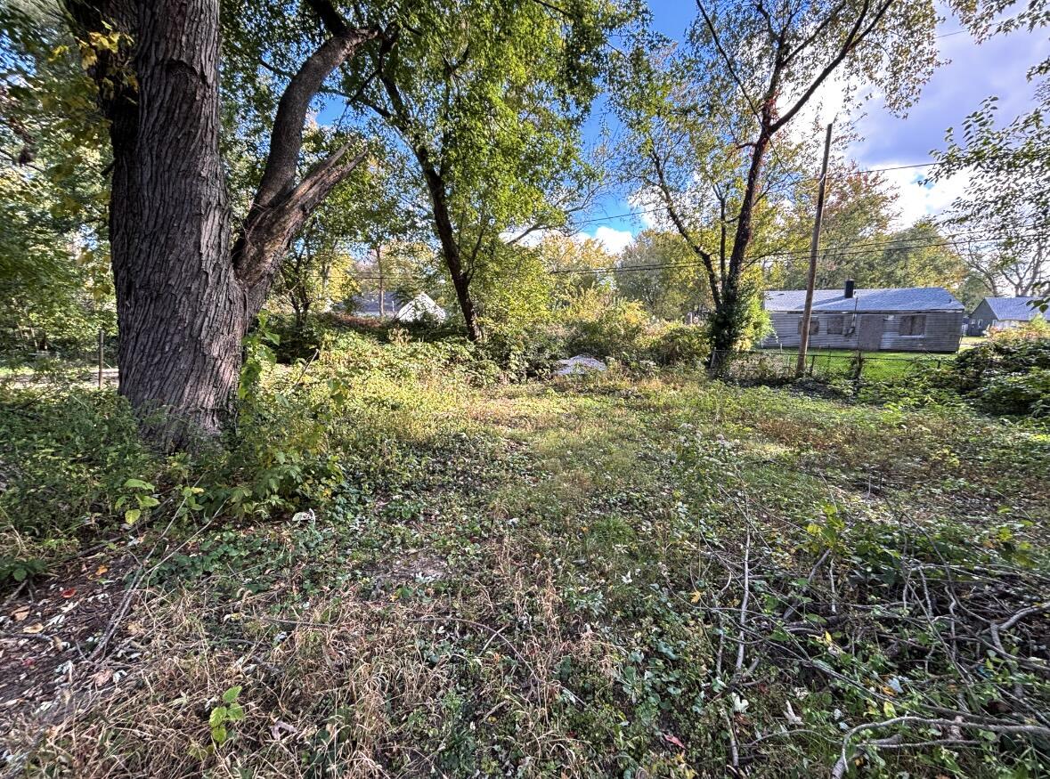 1163 Allen Street Gary, IN 46403 - Photo 4 of 13 a view of a yard with a tree
