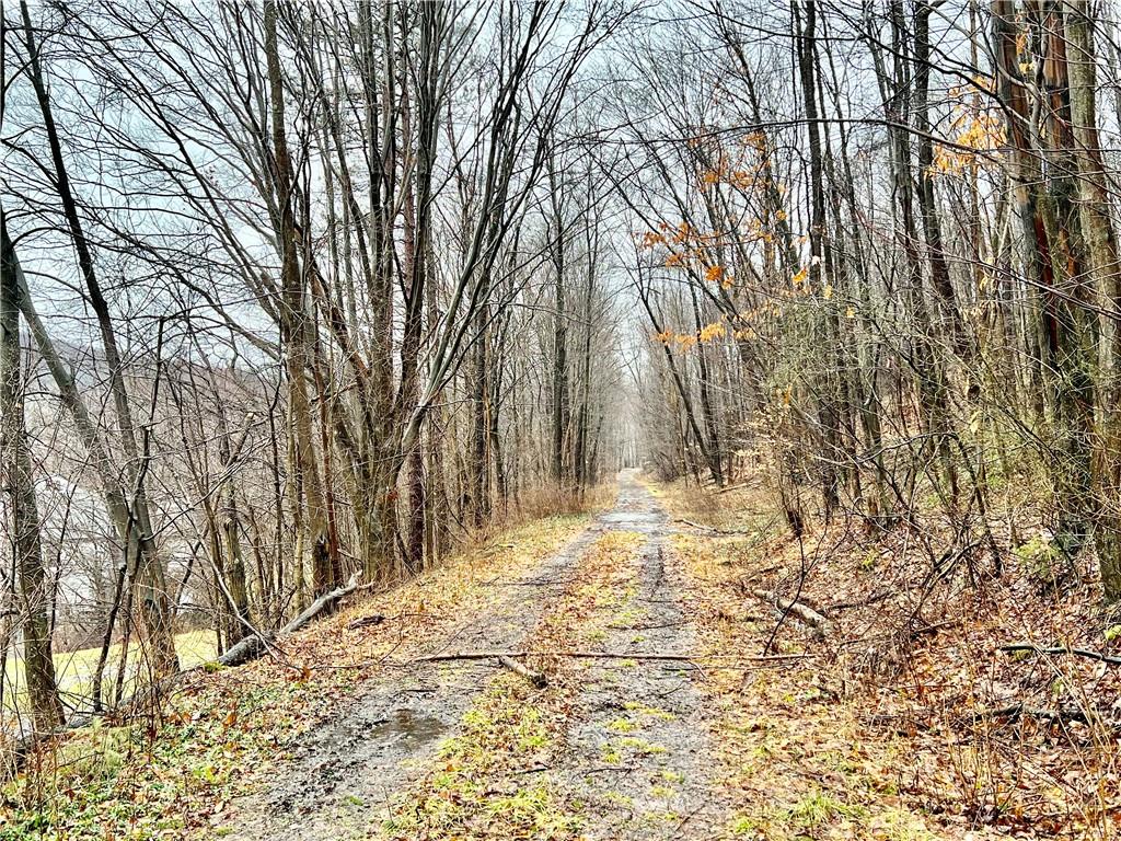 921 Station Road Twin Rocks, PA 15960 - Photo 24 of 25 Gallery Image 24