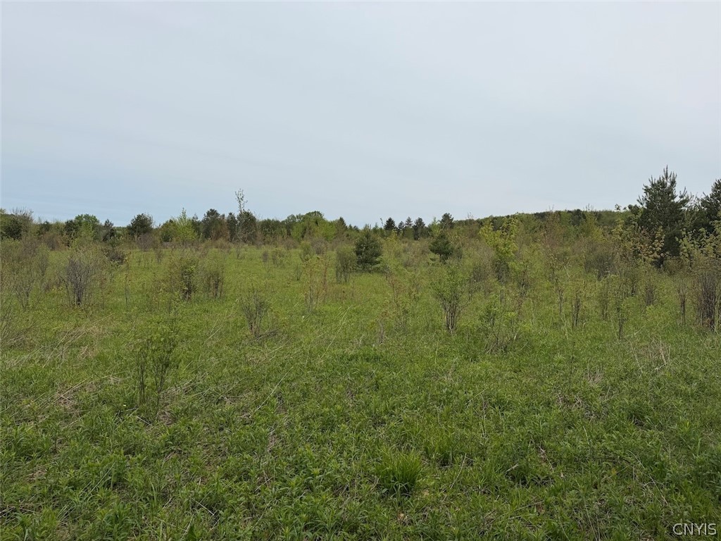 Reynolds Road Franklinville, NY 14737 - Photo 35 of 38