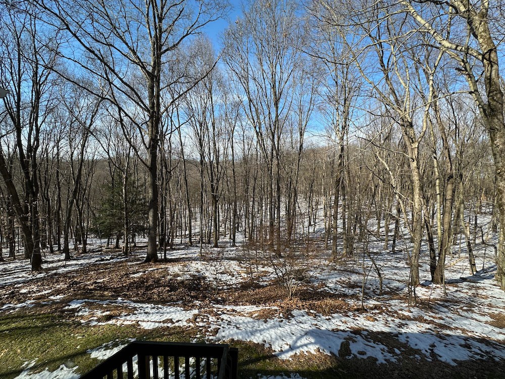 166 Hershey Road Franklin, PA 16323 - Photo 4 of 16