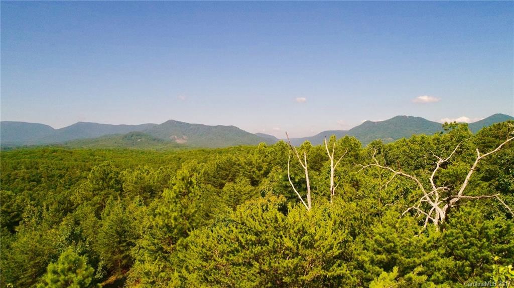 0 Christopher Road, Unit 6 Tryon, NC 28782 - Photo 1 of 19