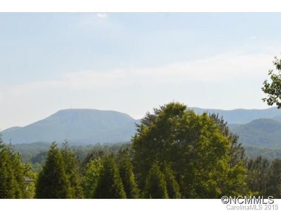 0 Christopher Road, Unit 6 Tryon, NC 28782 - Photo 2 of 19