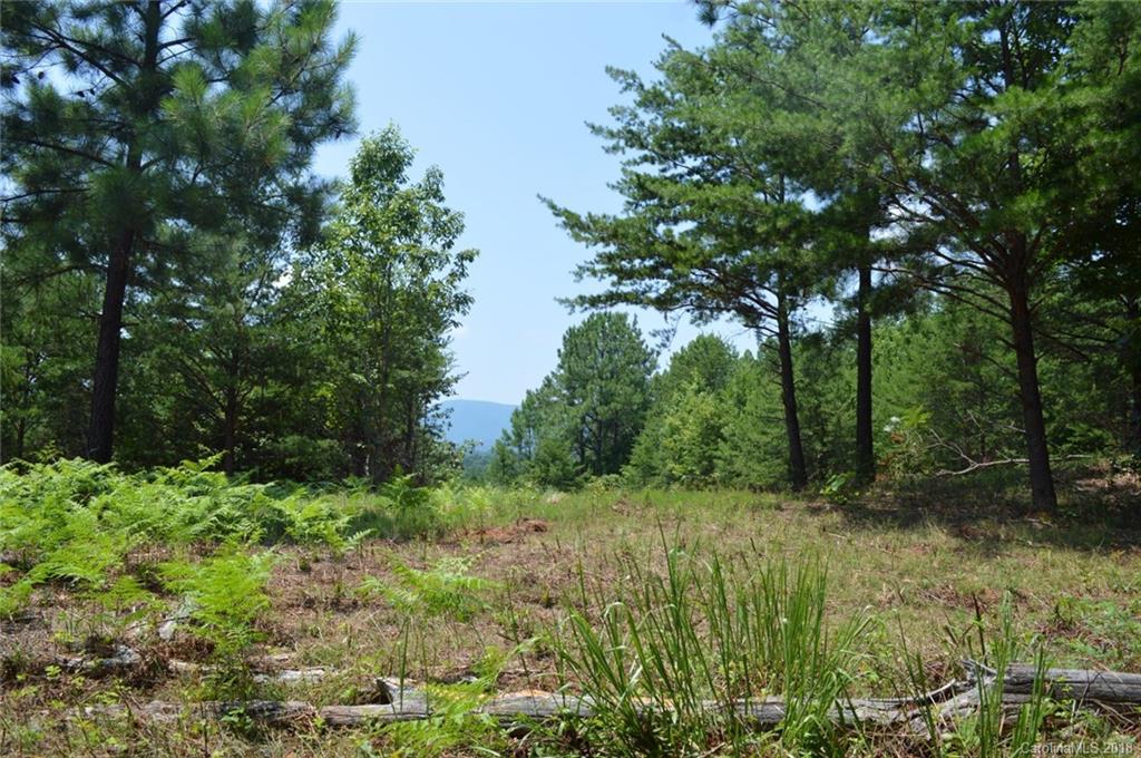 0 Christopher Road, Unit 6 Tryon, NC 28782 - Photo 11 of 19