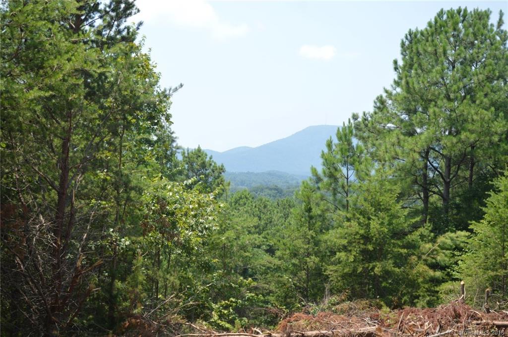 0 Christopher Road, Unit 6 Tryon, NC 28782 - Photo 12 of 19
