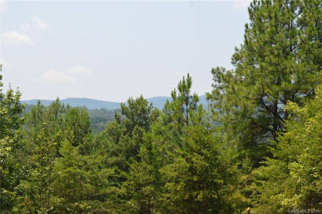 0 Christopher Road, Unit 6 Tryon, NC 28782 - Photo 13 of 19