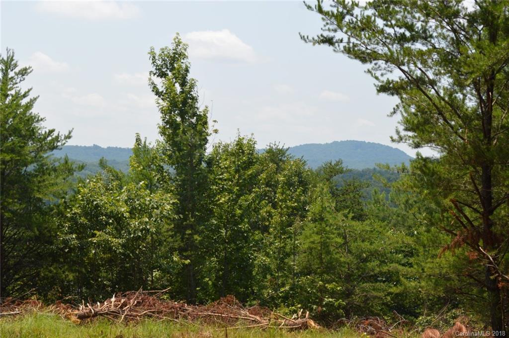 0 Christopher Road, Unit 6 Tryon, NC 28782 - Photo 14 of 19