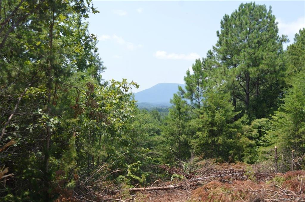 0 Christopher Road, Unit 6 Tryon, NC 28782 - Photo 15 of 19