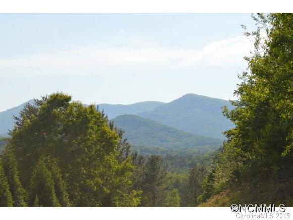 0 Christopher Road, Unit 6 Tryon, NC 28782 - Photo 3 of 19