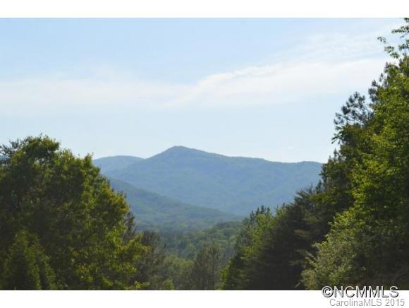 0 Christopher Road, Unit 6 Tryon, NC 28782 - Photo 4 of 19