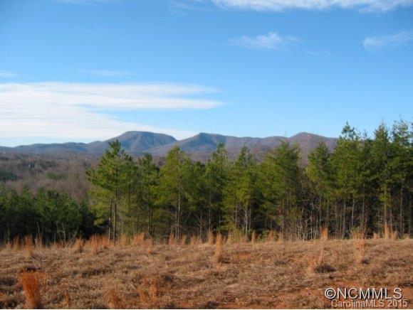 0 Christopher Road, Unit 6 Tryon, NC 28782 - Photo 8 of 19