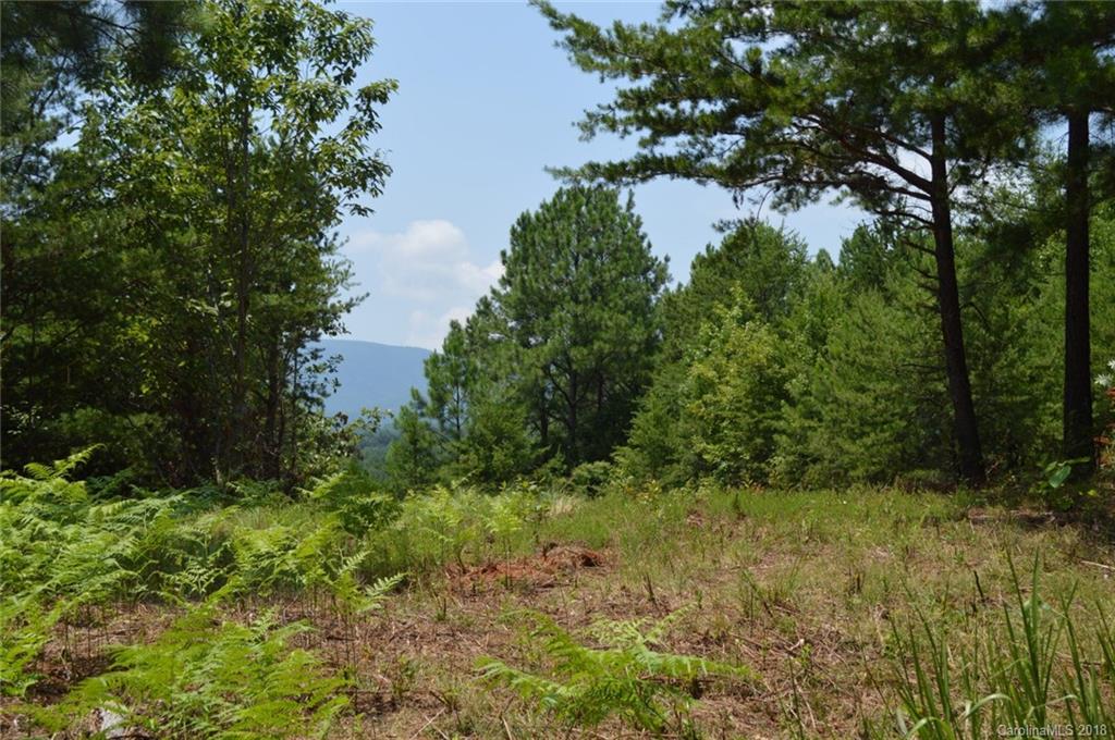 0 Christopher Road, Unit 6 Tryon, NC 28782 - Photo 9 of 19
