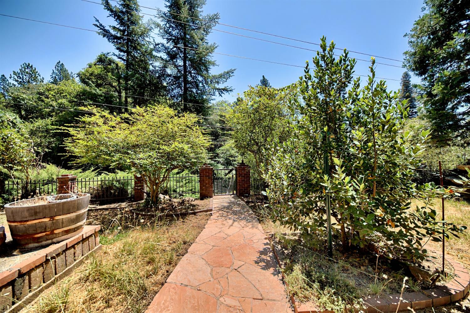 731 Dam Road Murphys, CA 95247 - Photo 64 of 80