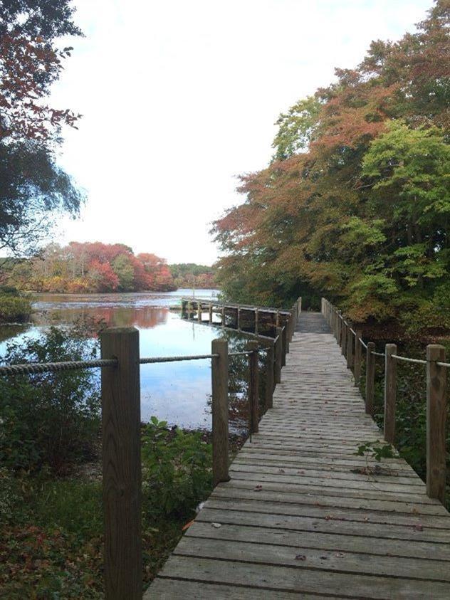 288 Huckins Neck Road Centerville, MA 02601 - Photo 18 of 18 a wooden bridge near lake