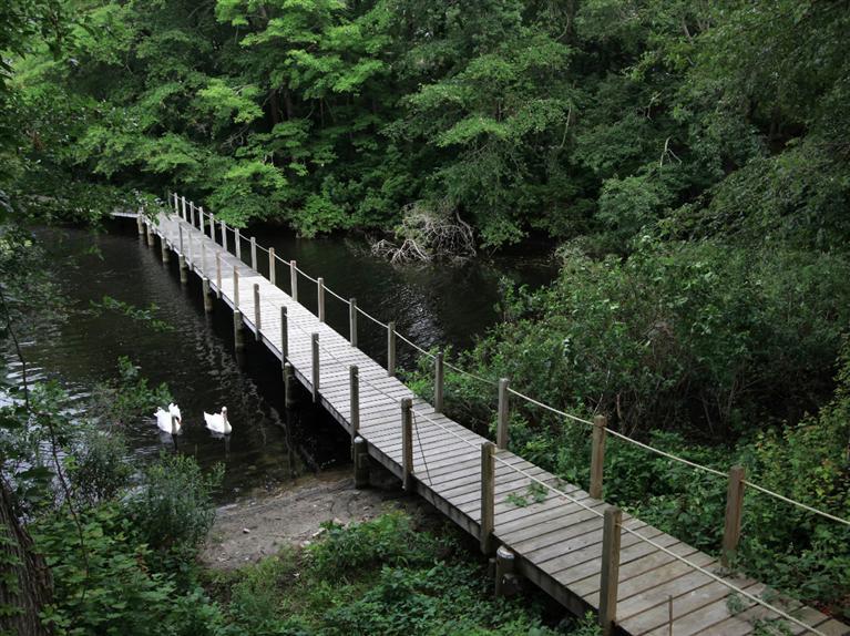 288 Huckins Neck Road Centerville, MA 02601 - Photo 3 of 18 a view of a wooden bridge