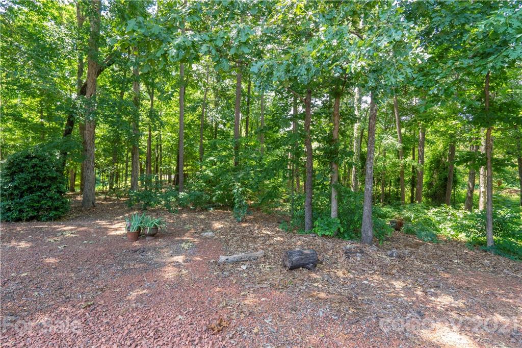 6607 Fox Ridge Circle Davidson, NC 28036 - Photo 48 of 48 a view of outdoor space and trees