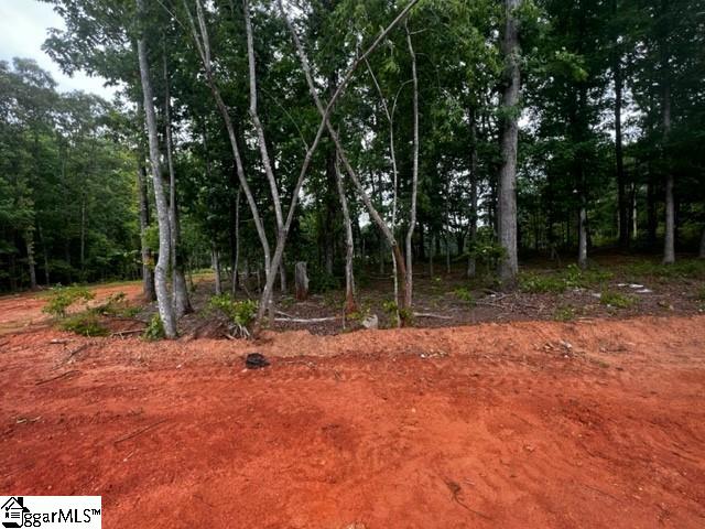 4250 Winding Ridge Lane, Unit PF 85 Boiling Springs, SC 29316 - Photo 11 of 13 Gallery Image 11